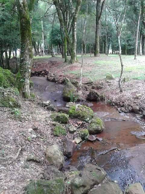 מלון Campo Grande  Camping Caitano מראה חיצוני תמונה
