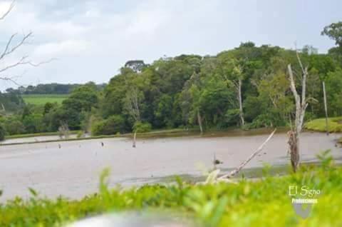 מלון Campo Grande  Camping Caitano מראה חיצוני תמונה