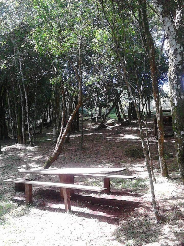 מלון Campo Grande  Camping Caitano מראה חיצוני תמונה